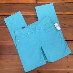 NWT Gloria Vanderbilt Avery Mid-Rise Pull On Pants